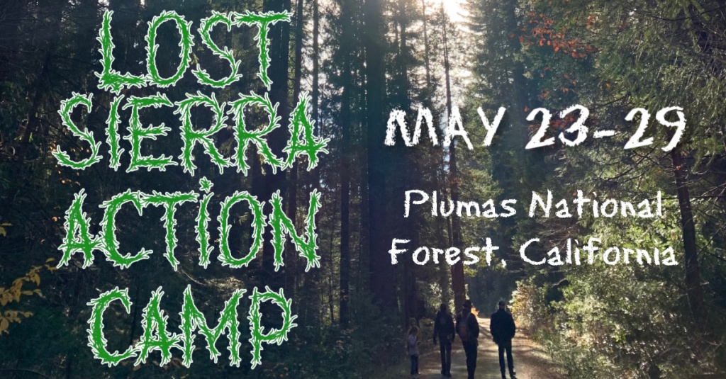 Lost Sierra Forest-Climate Action Camp | May 23-29