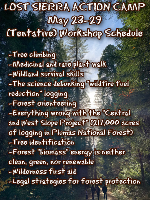 Lost Sierra Action Camp Workshop Schedule